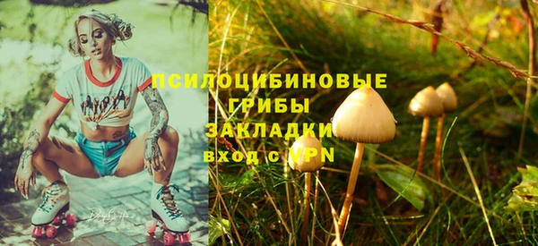 хмурый Липки
