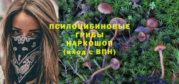 а пвп мука Абдулино