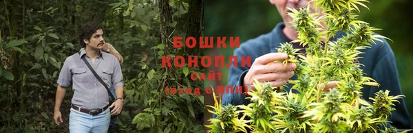 бошки Абаза
