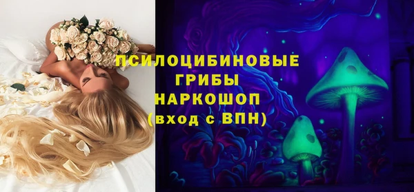 бошки Абаза