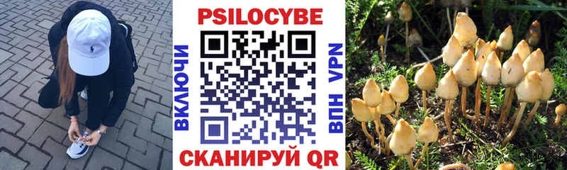 сайты даркнета клад  Ярославль  Галлюциногенные грибы мухоморы 